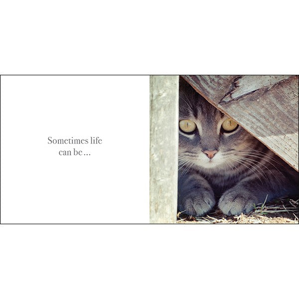 ITS OK TO BE YOU AFFIRMATIONS