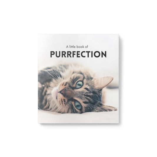 LITTLE BOOK OF CATITUDE