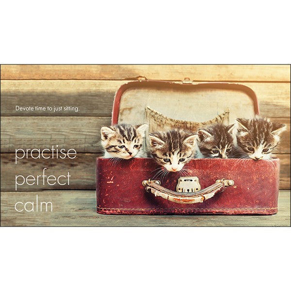 LITTLE BOOK OF CATITUDE