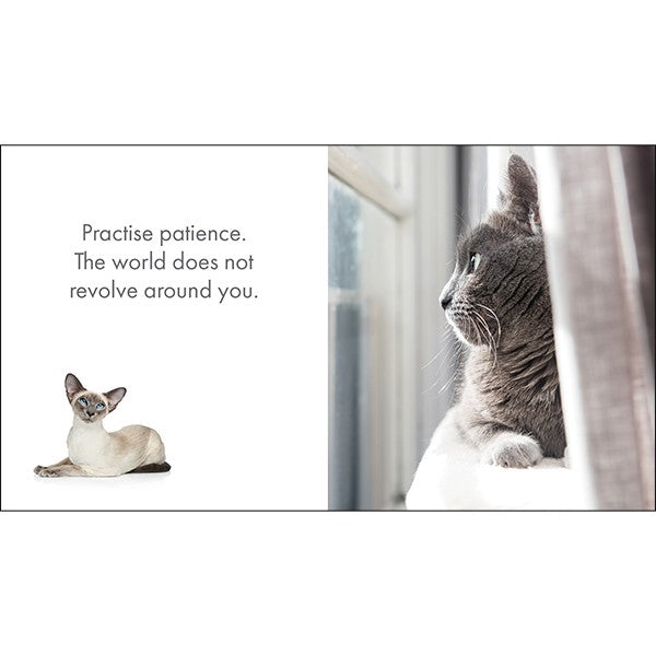 LITTLE BOOK OF CATITUDE