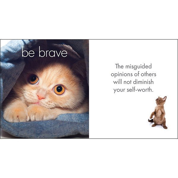 LITTLE BOOK OF CATITUDE