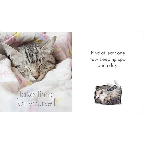 LITTLE BOOK OF CATITUDE